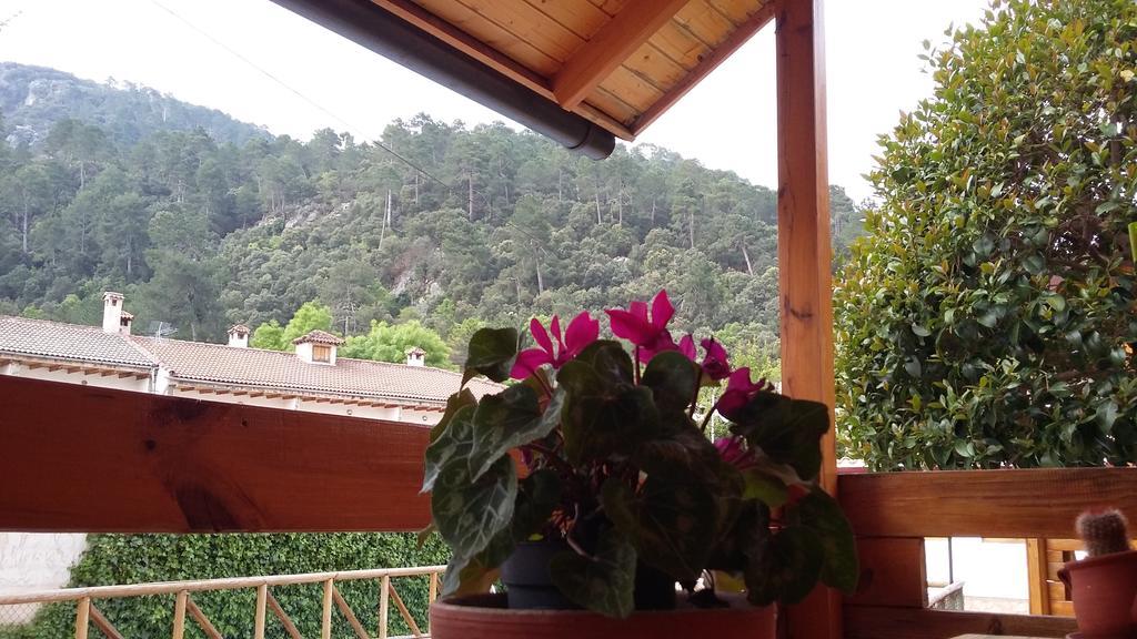 Cabanas De Madera El Rinconcillo Arroyo Frío Eksteriør bilde