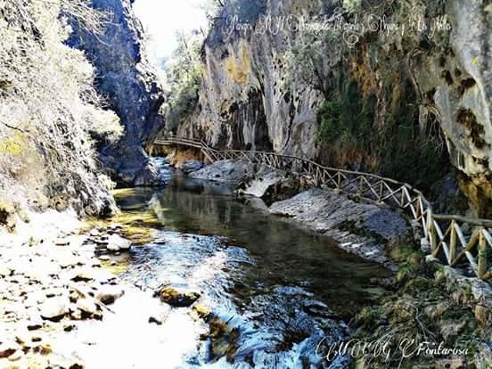 Cabanas De Madera El Rinconcillo Arroyo Frío Eksteriør bilde