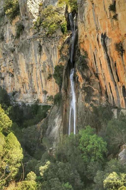 Cabanas De Madera El Rinconcillo Arroyo Frío Eksteriør bilde